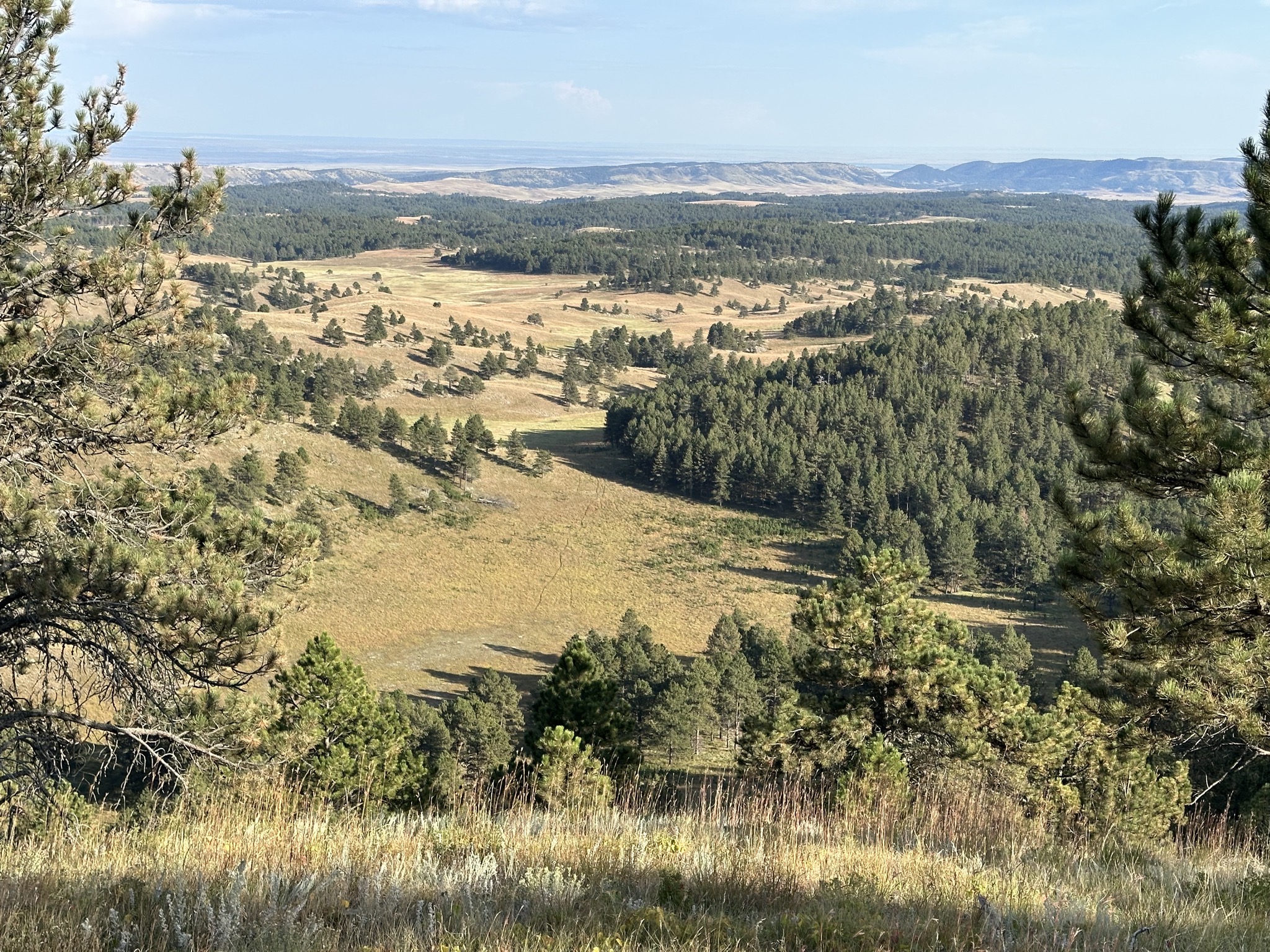 Rankin Ridge Trail