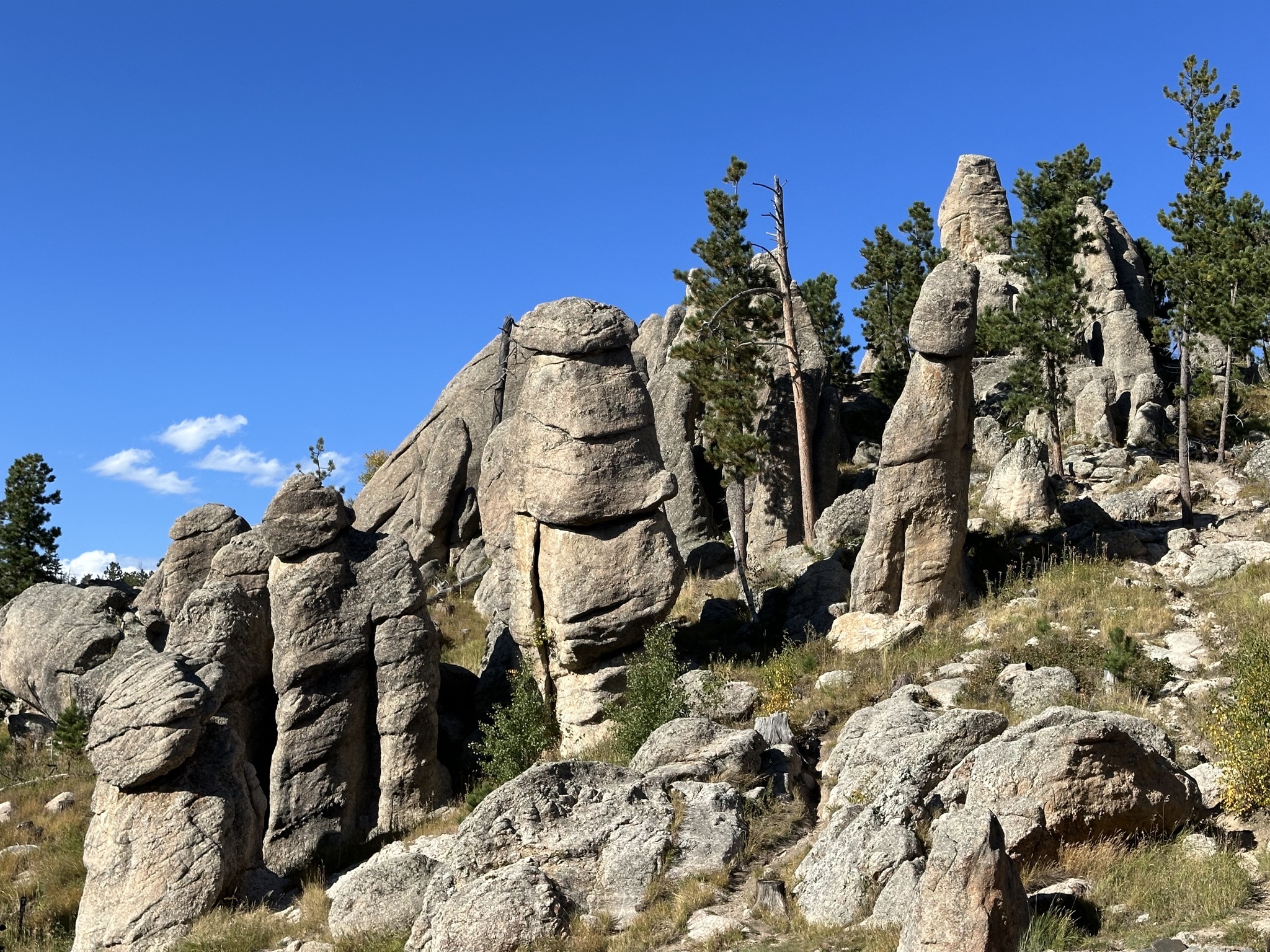 Custer State Park