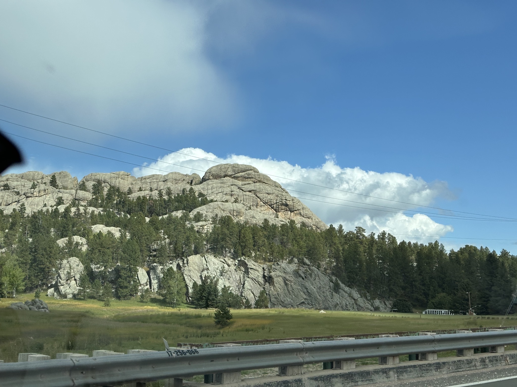 Custer