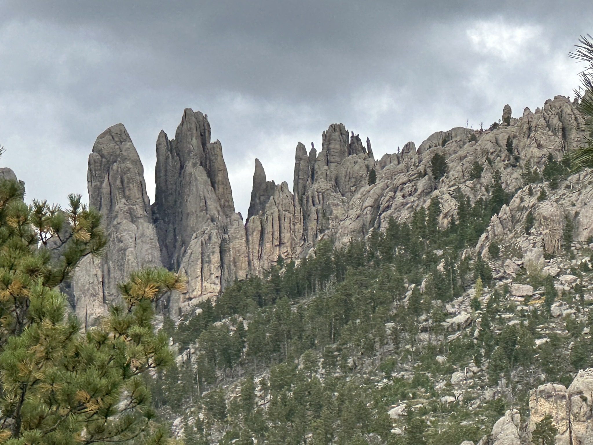 Custer State Park