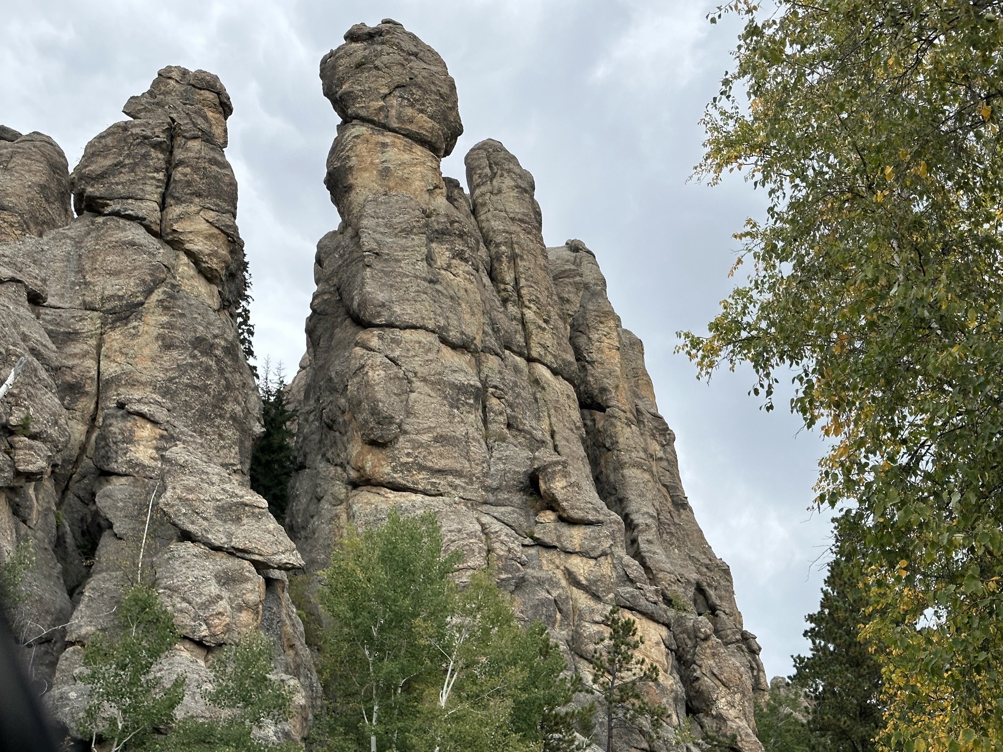 Custer State Park