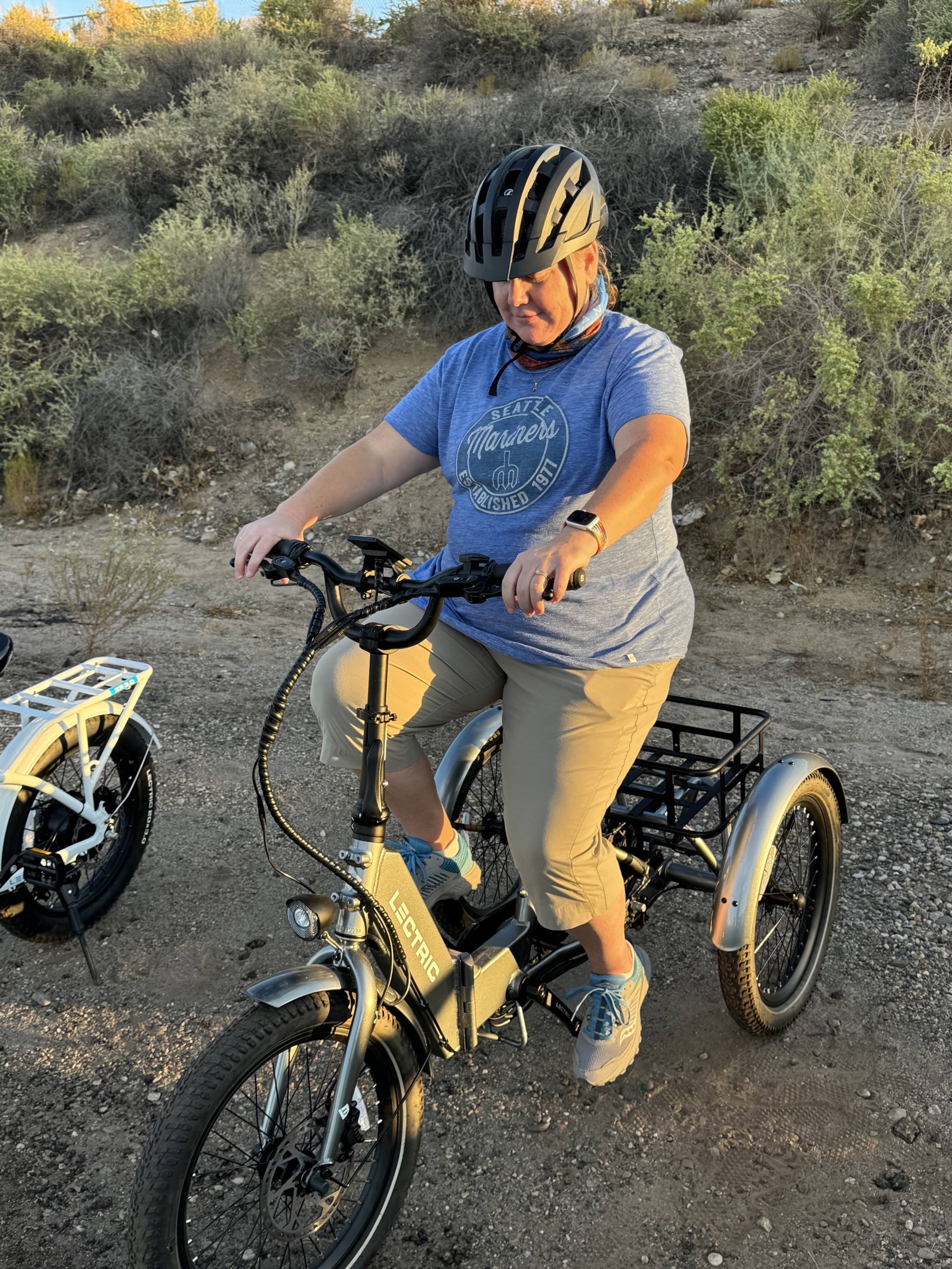 Lectric ebikes