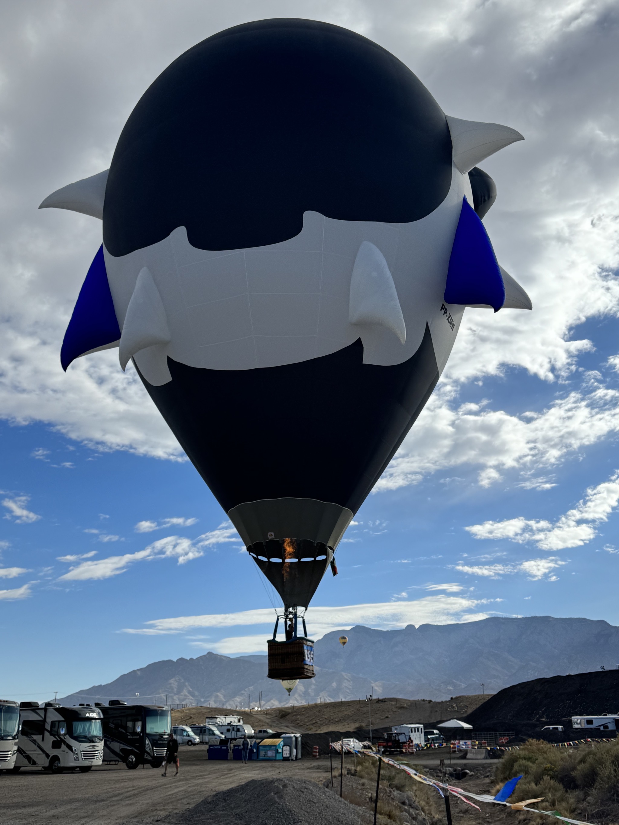 Balloons over RV lot