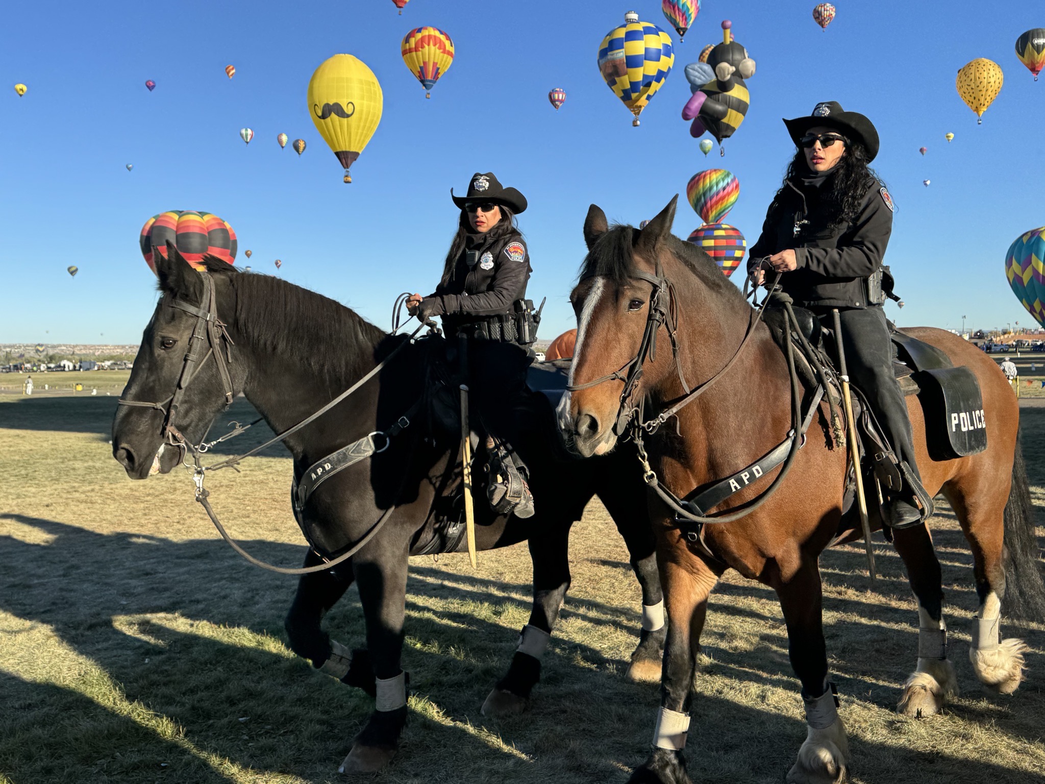 Mounted police