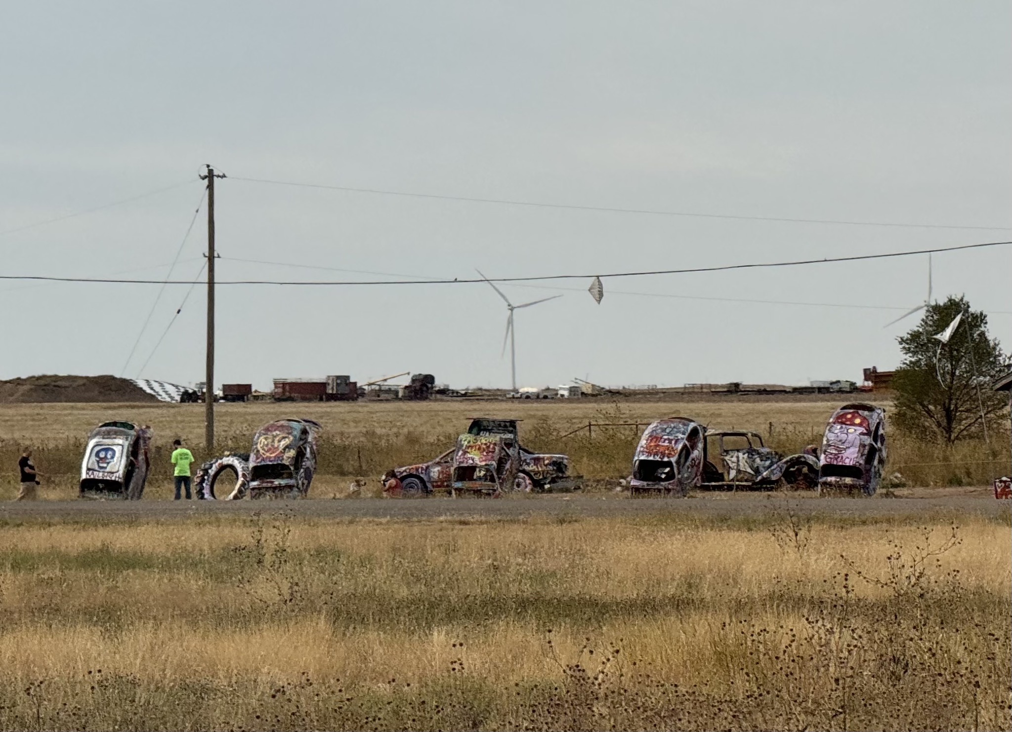 VW Slug Bug Ranch