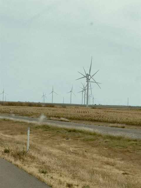 Wind turbines in a row