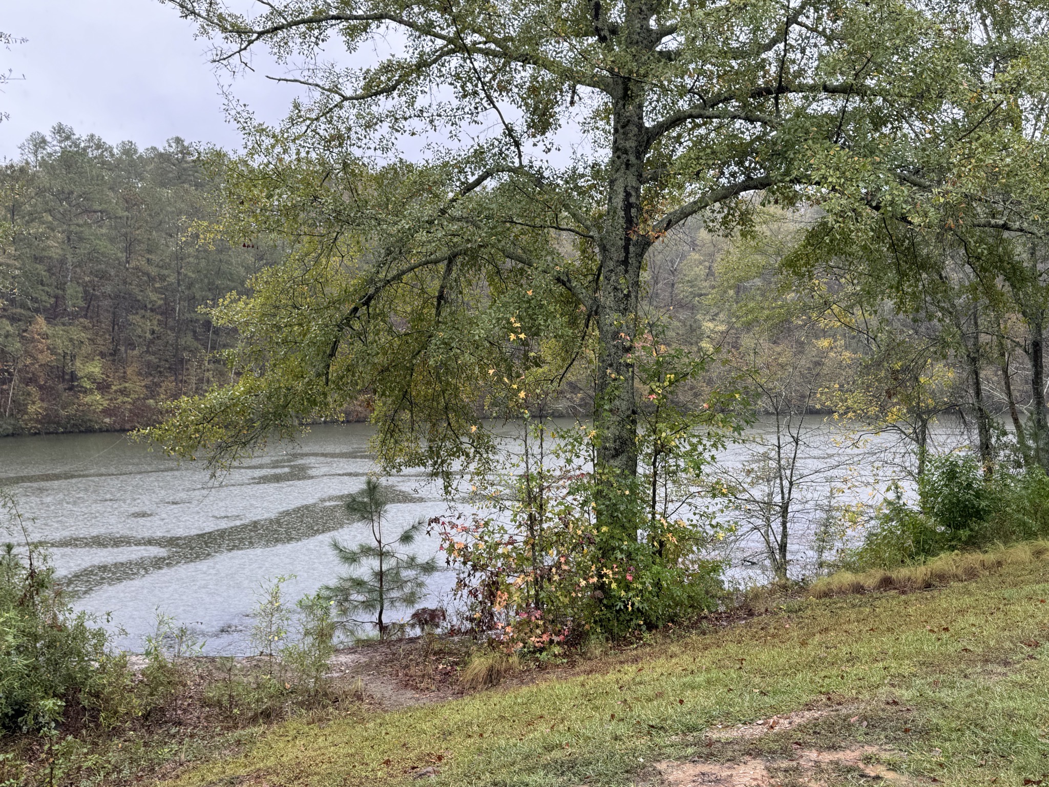 Ouachita River / Lake Catherine