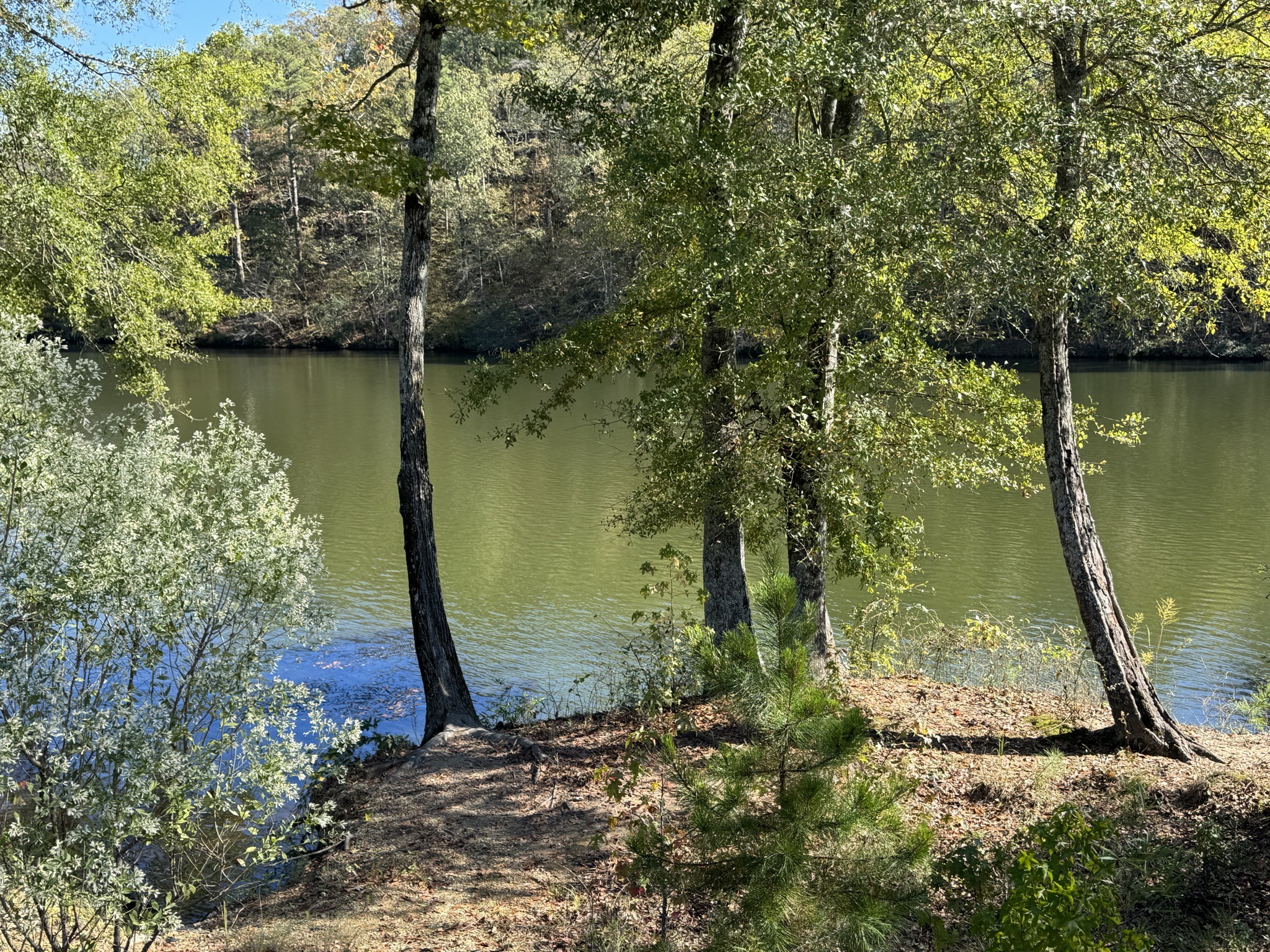 Ouachita River / Lake Catherine