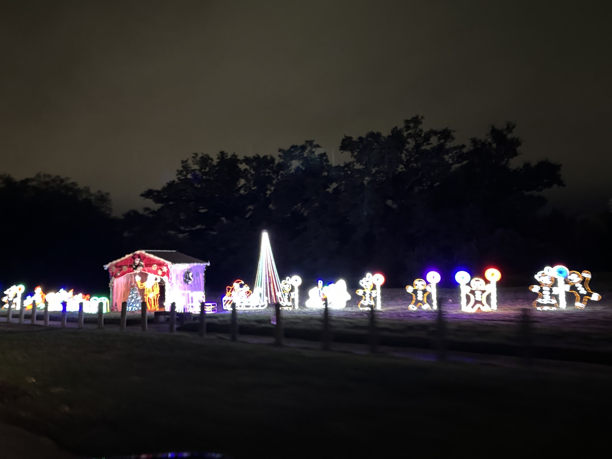 Holiday lights