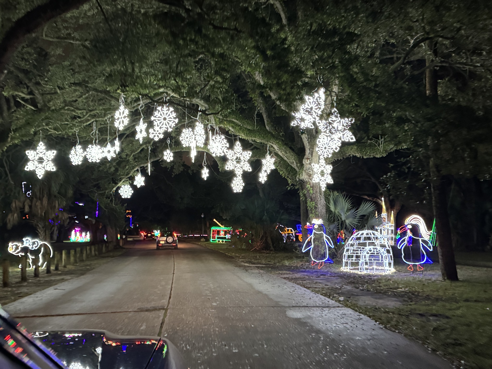 Holiday lights