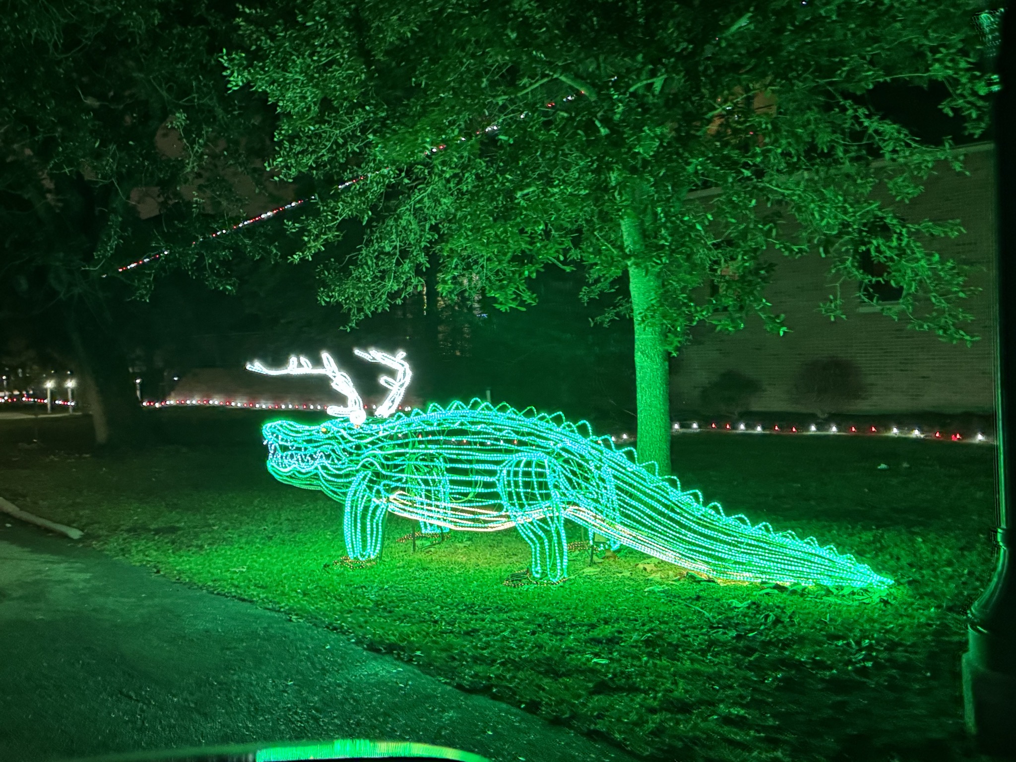 Holiday lights