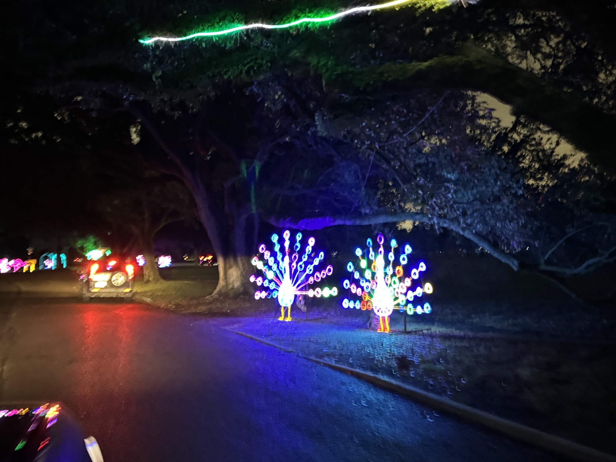 Holiday lights