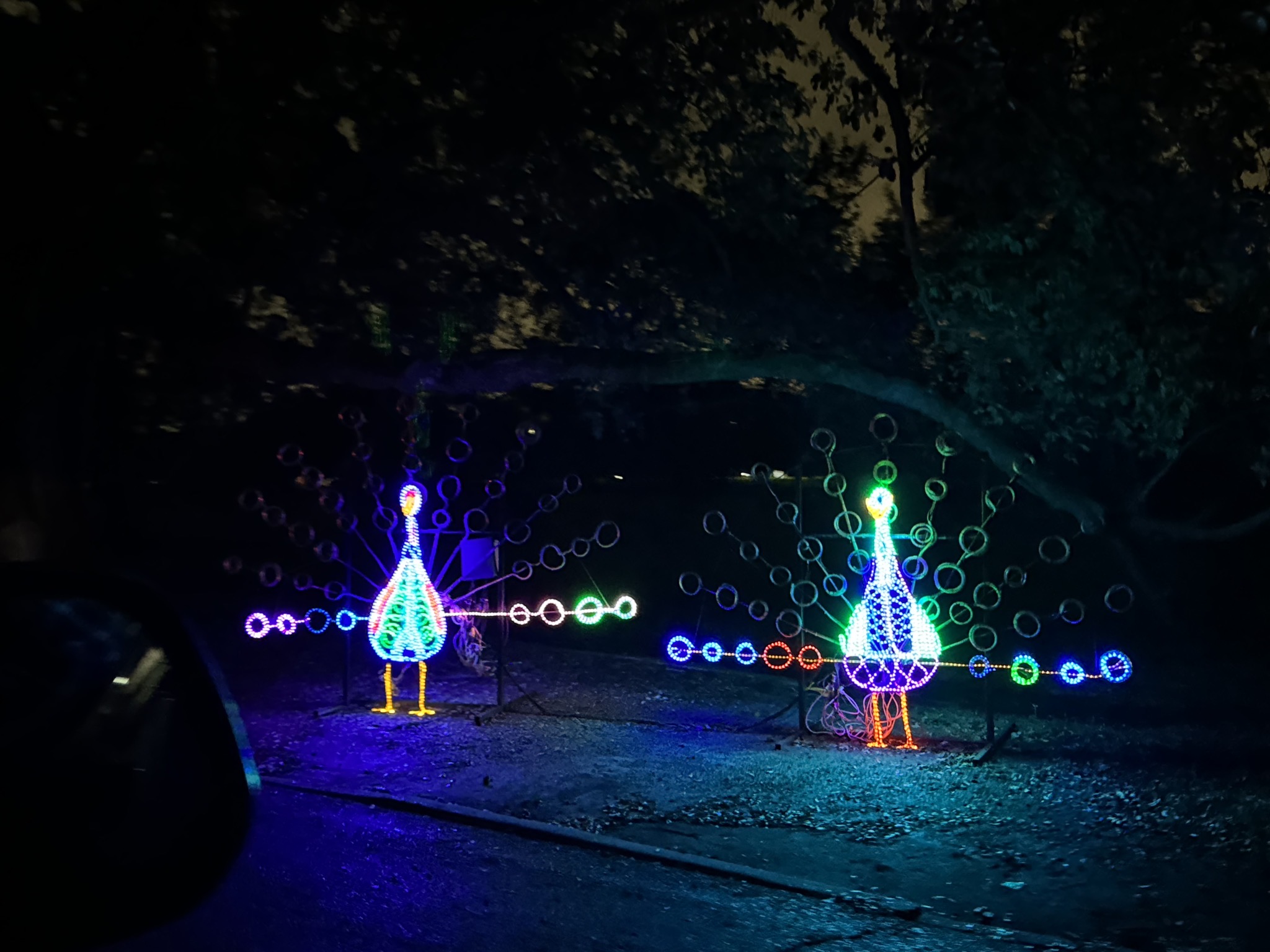 Holiday lights