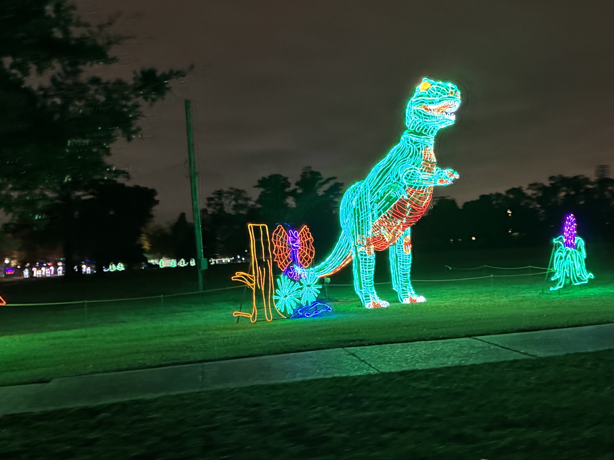 Holiday lights