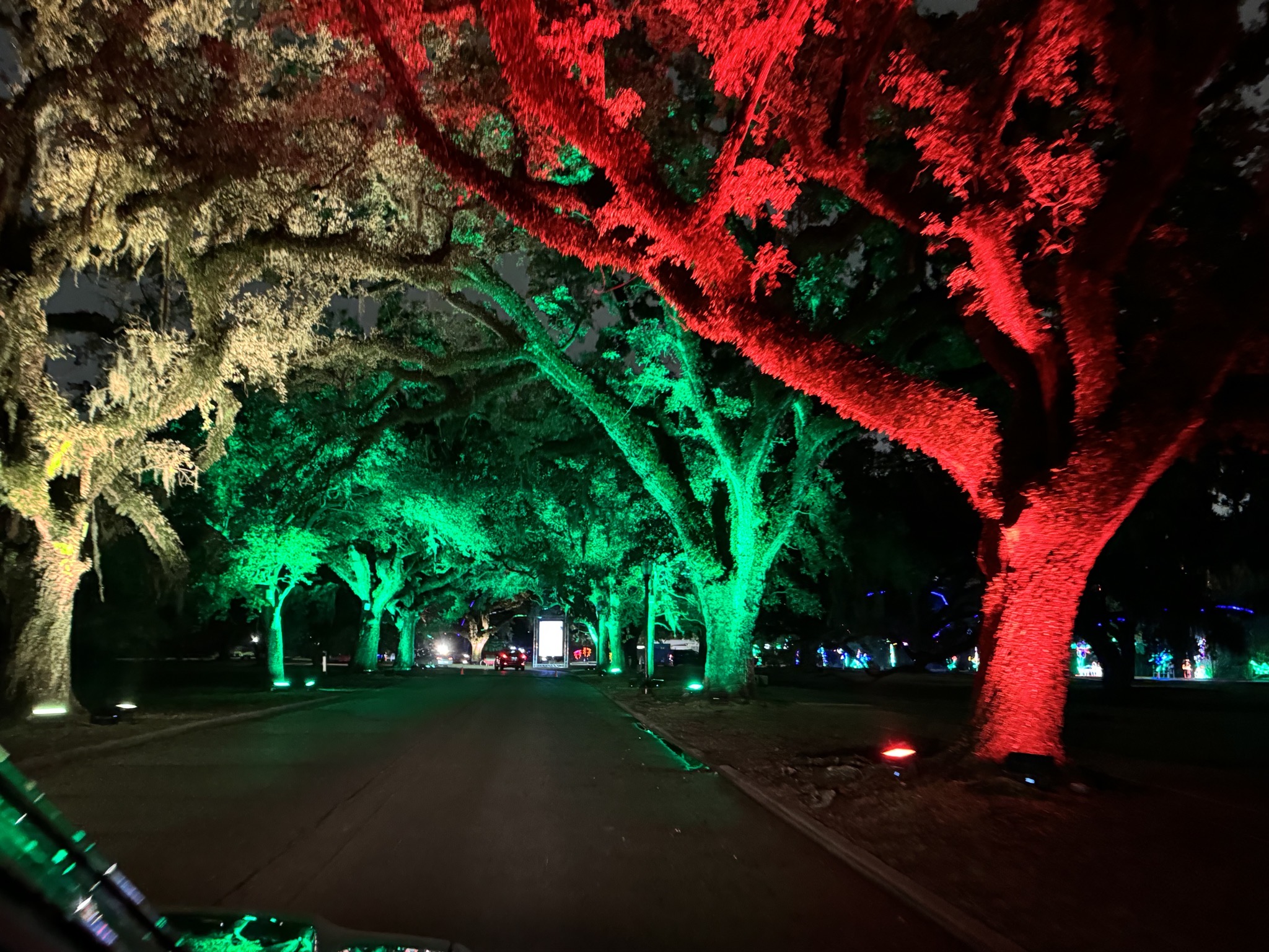 Holiday lights