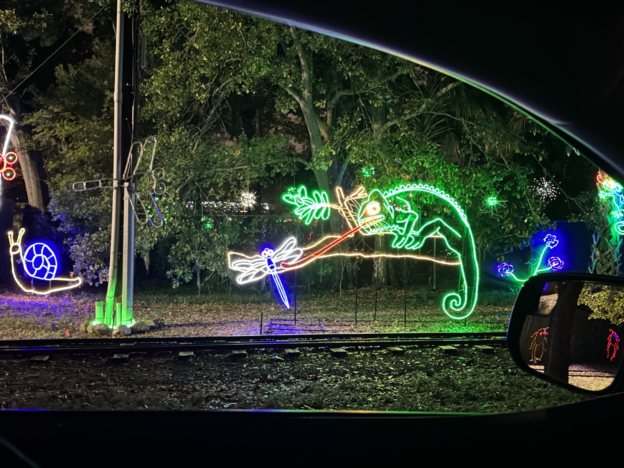 Holiday lights
