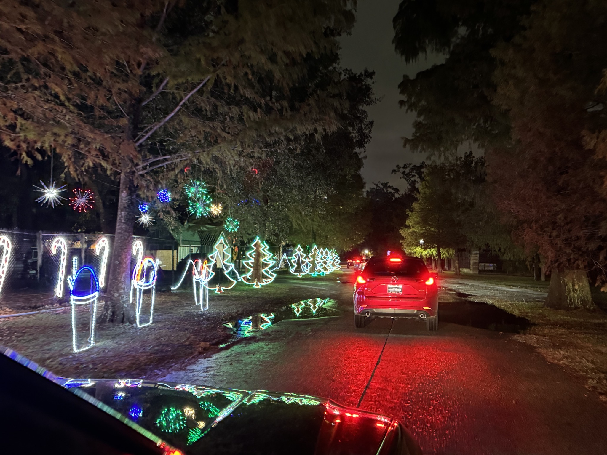 Holiday lights