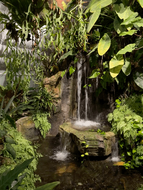Greenhouse