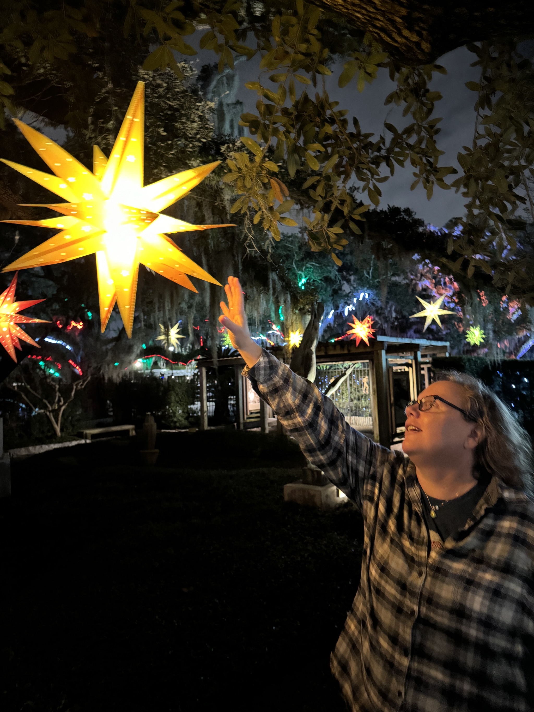 Holiday lights