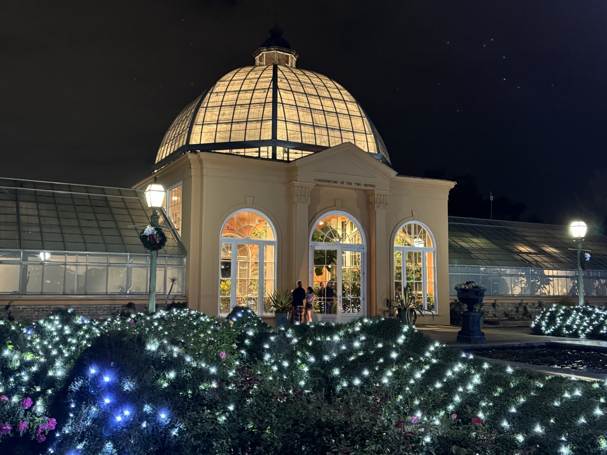 Holiday lights