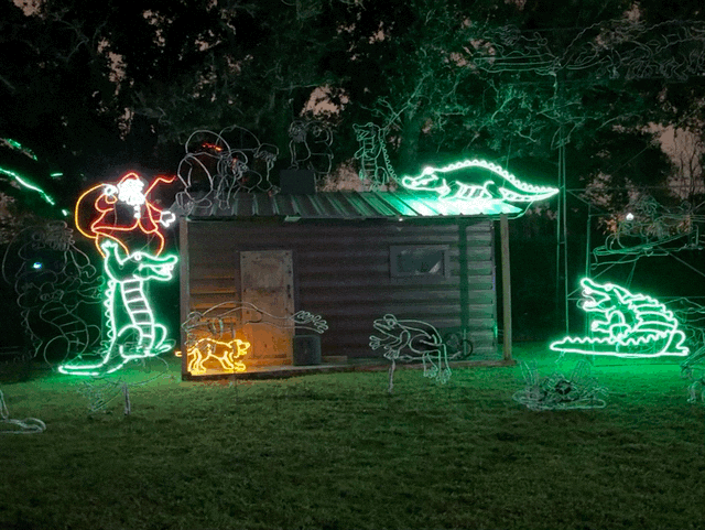 Holiday lights