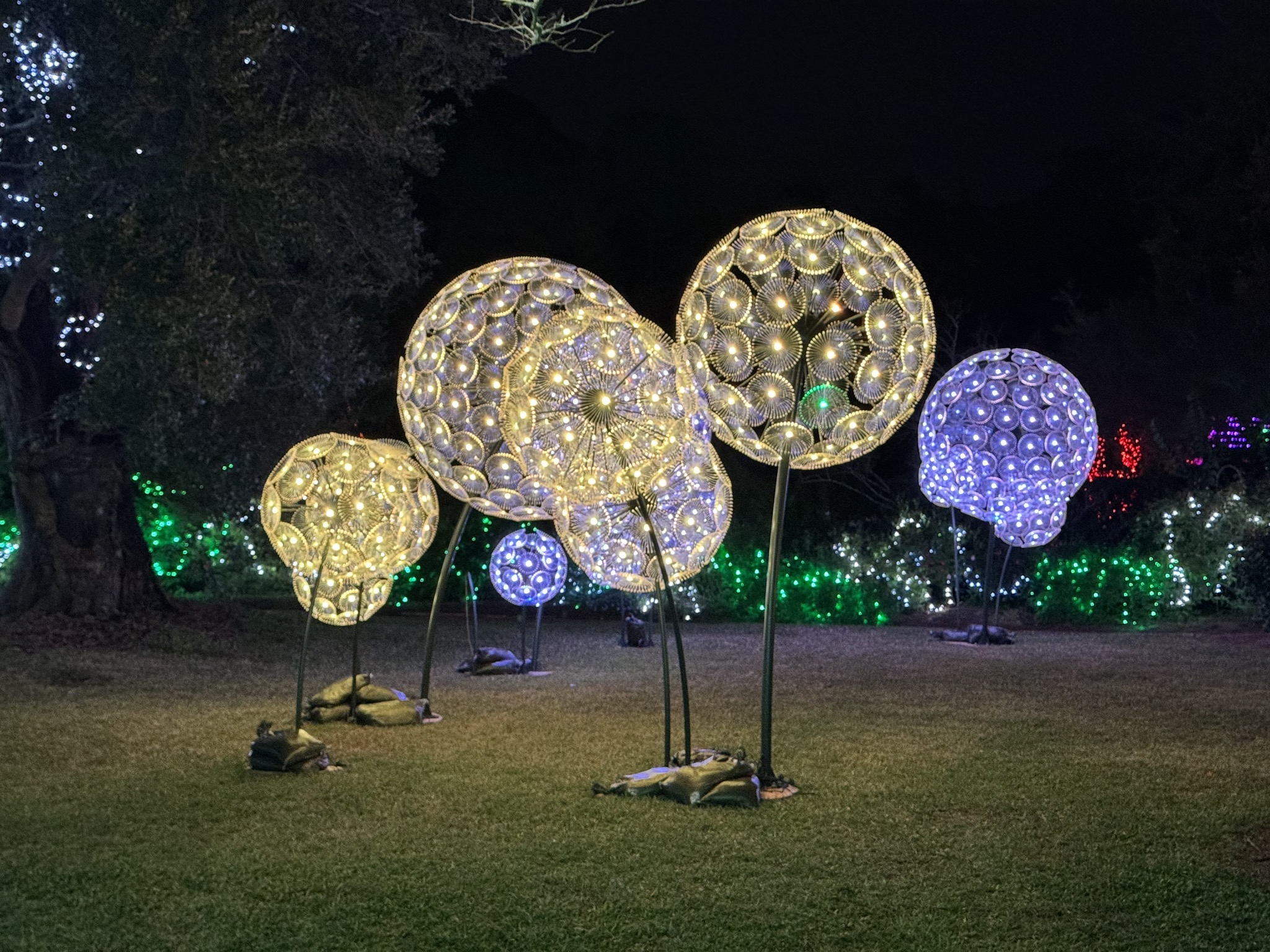 Holiday lights