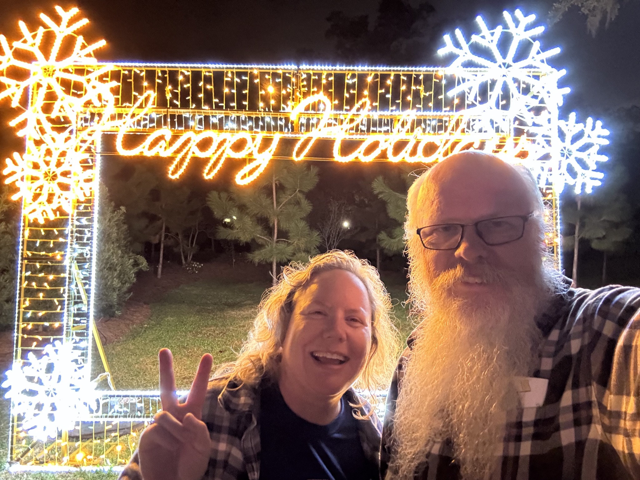 Holiday lights