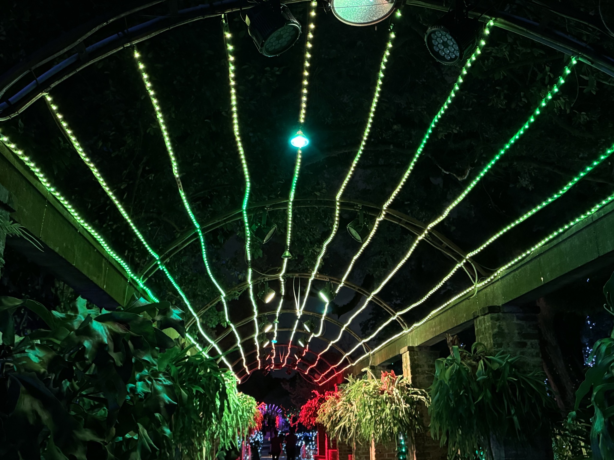 Holiday lights