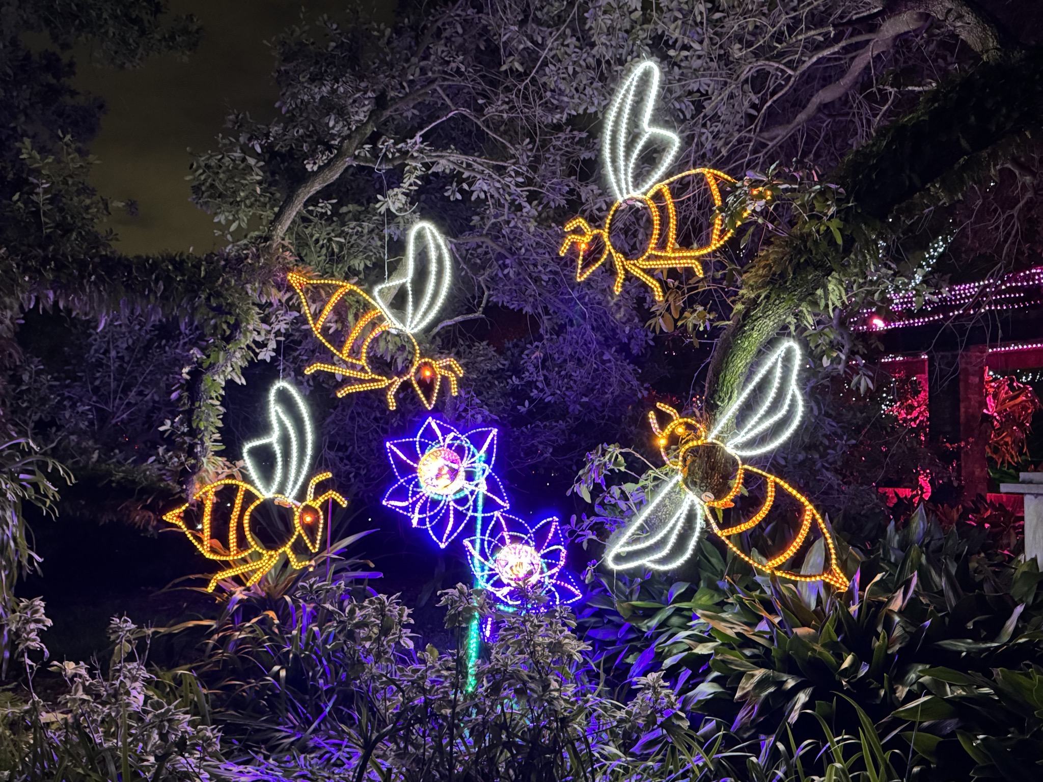 Holiday lights