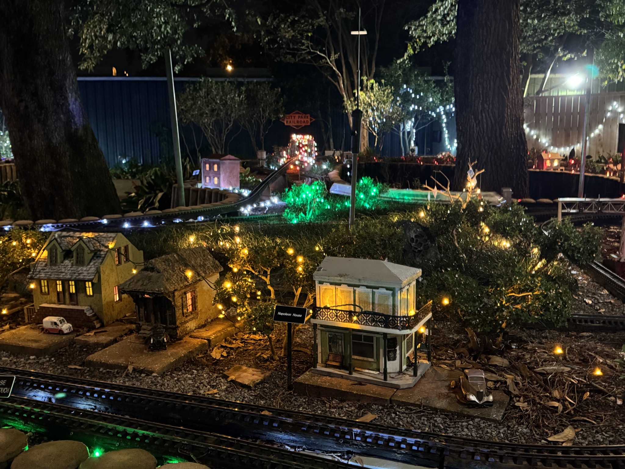 Holiday lights