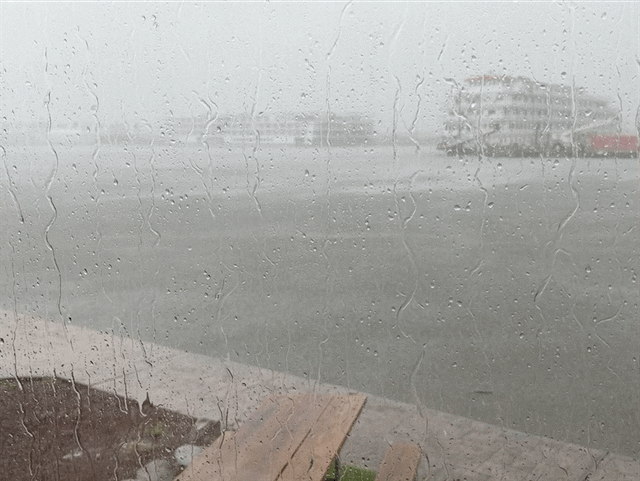 Rain