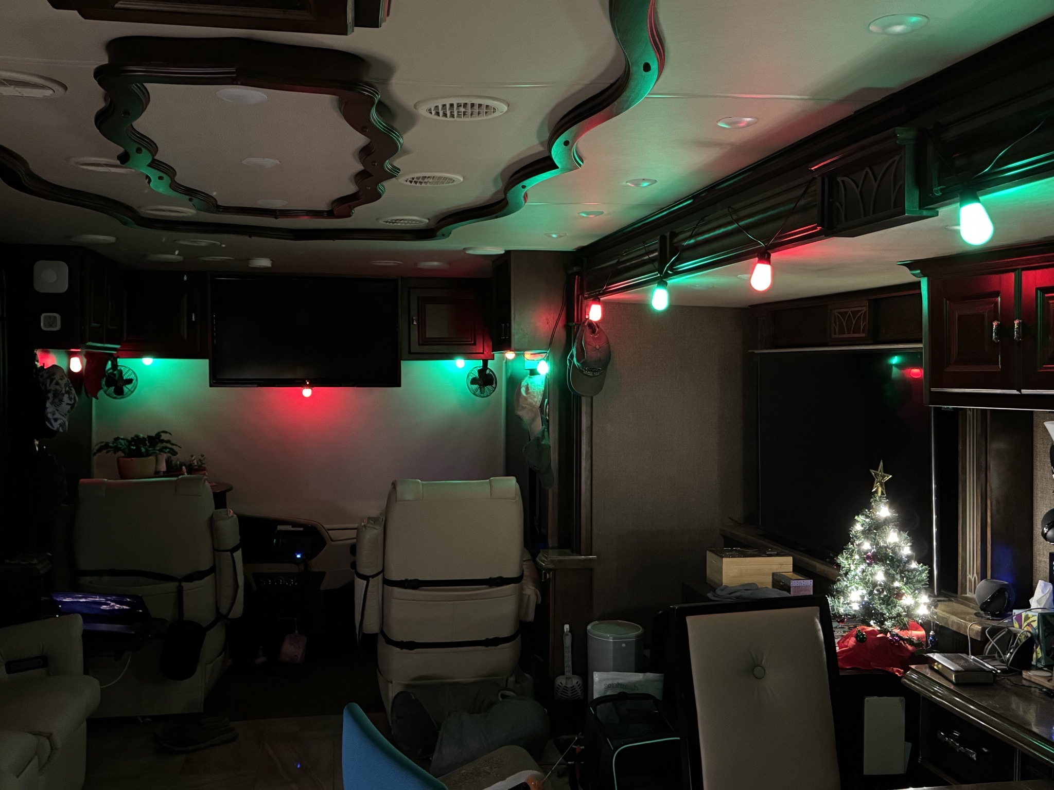 Holiday lights