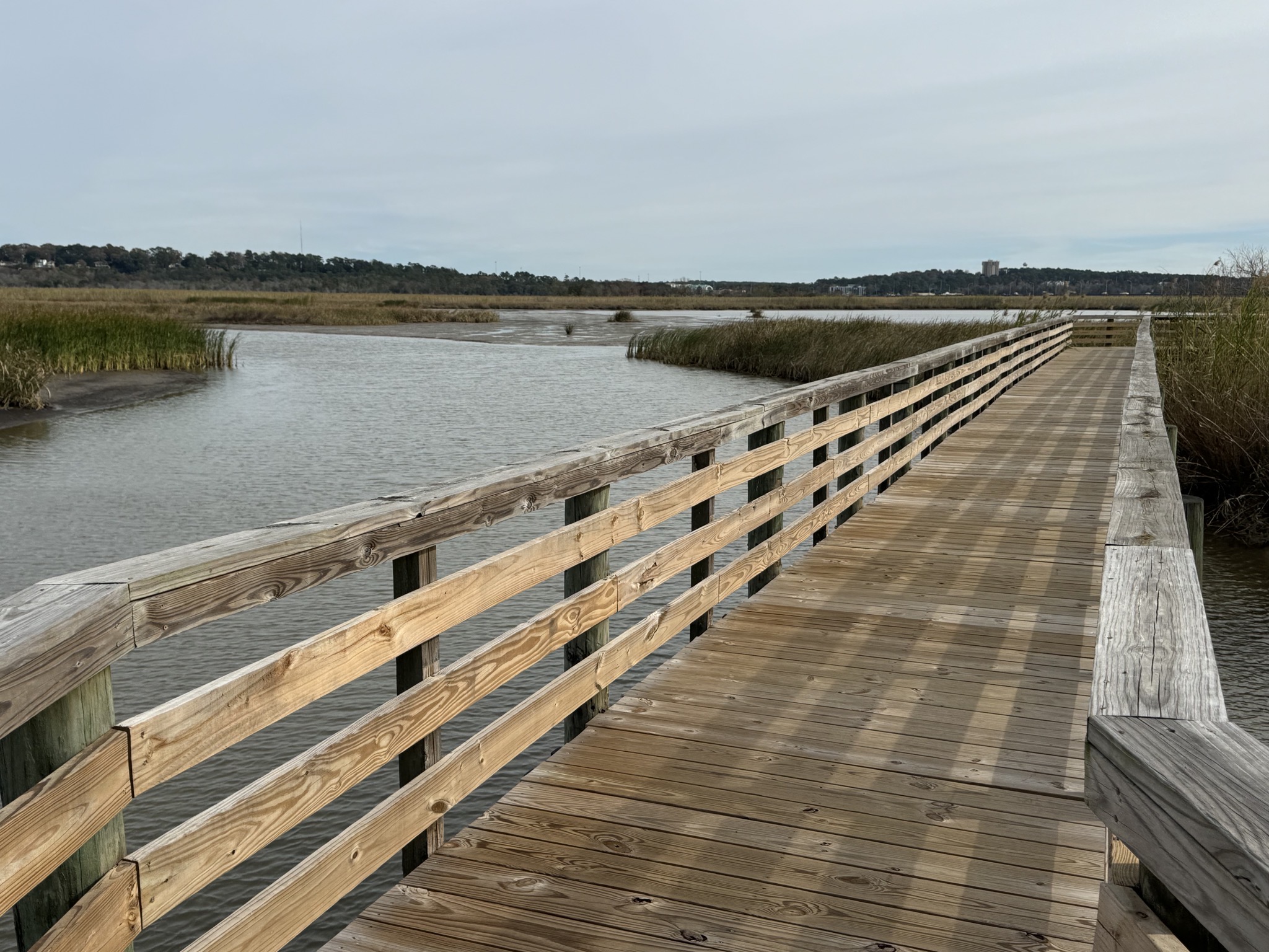 Delta boardwalk