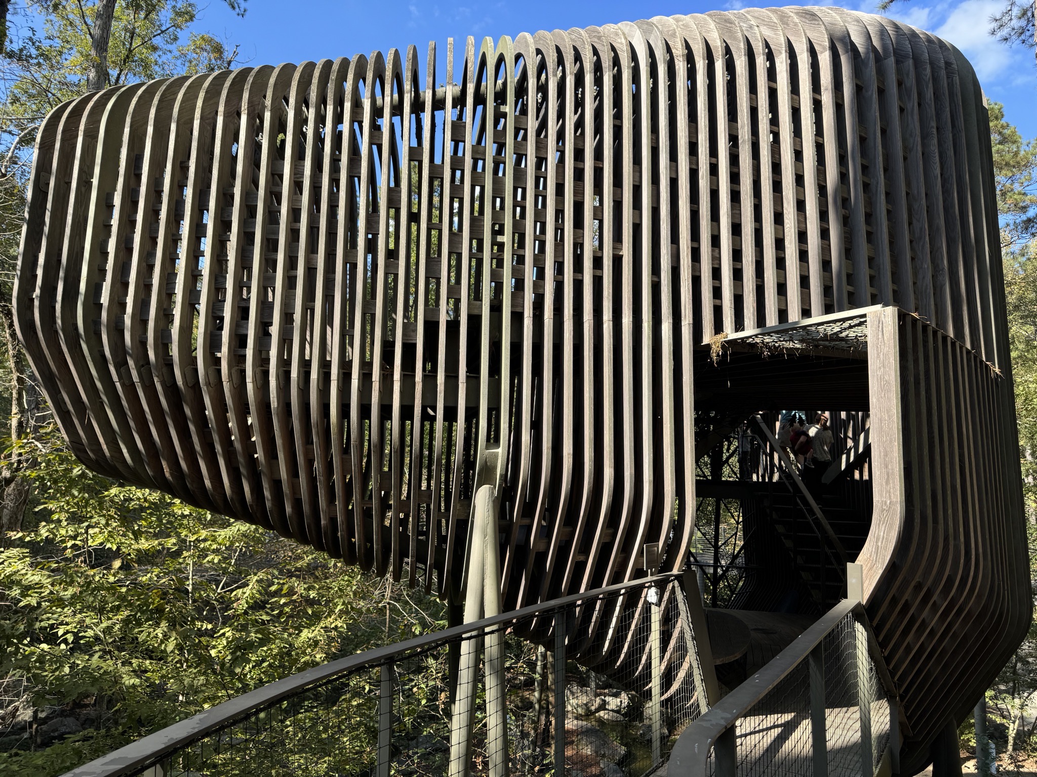 Treehouse