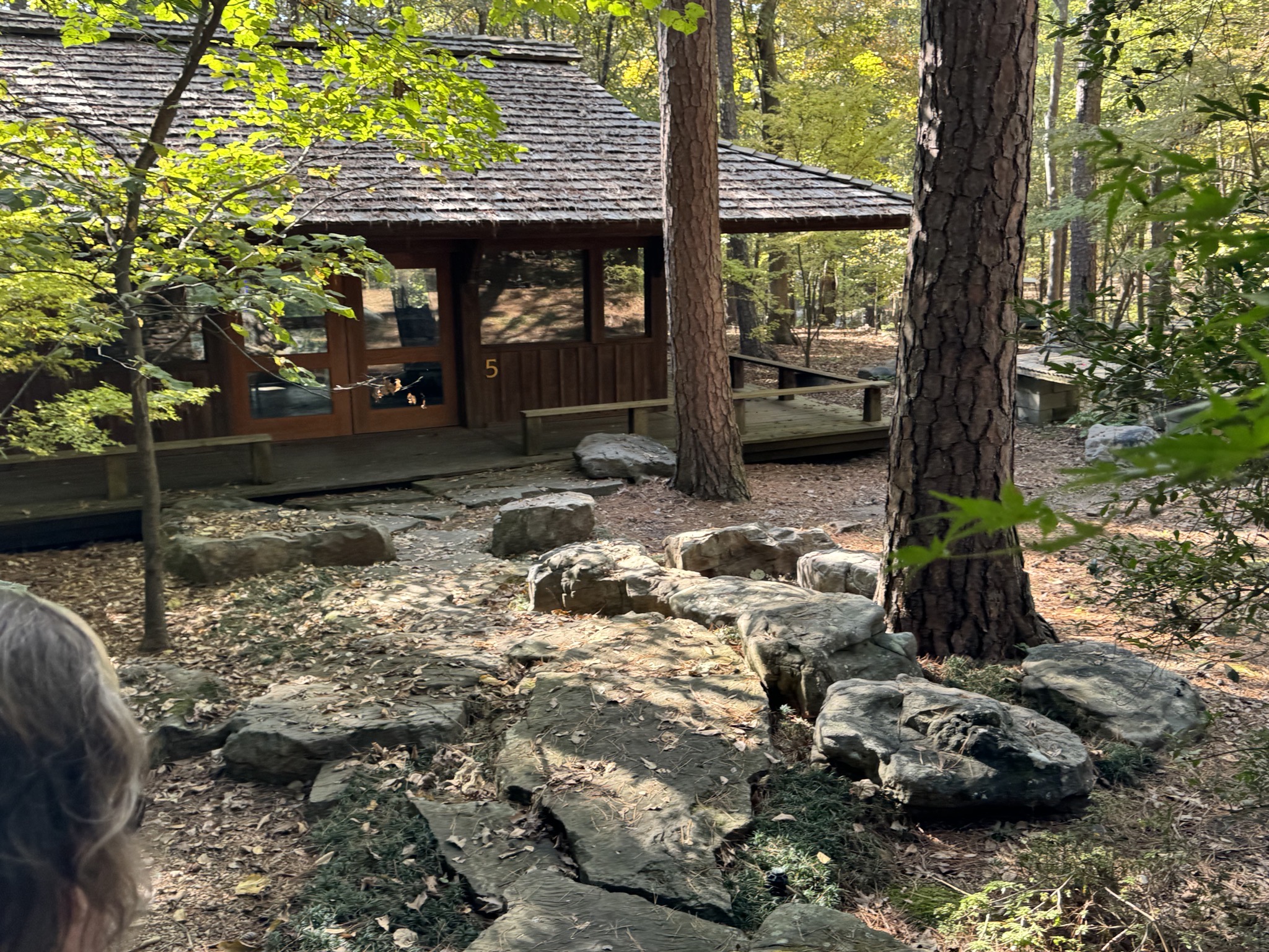 Japanese garden