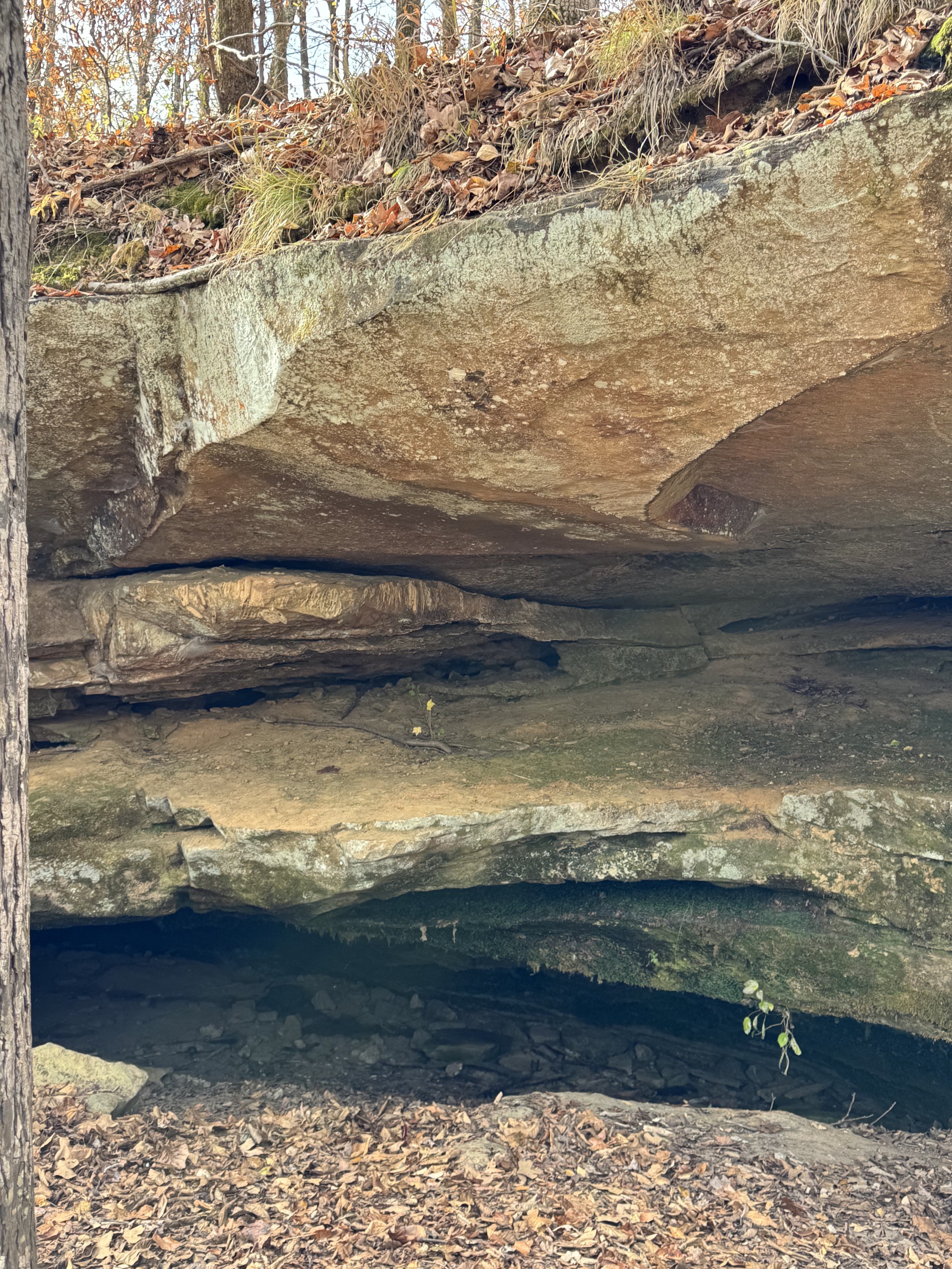 Cave Spring