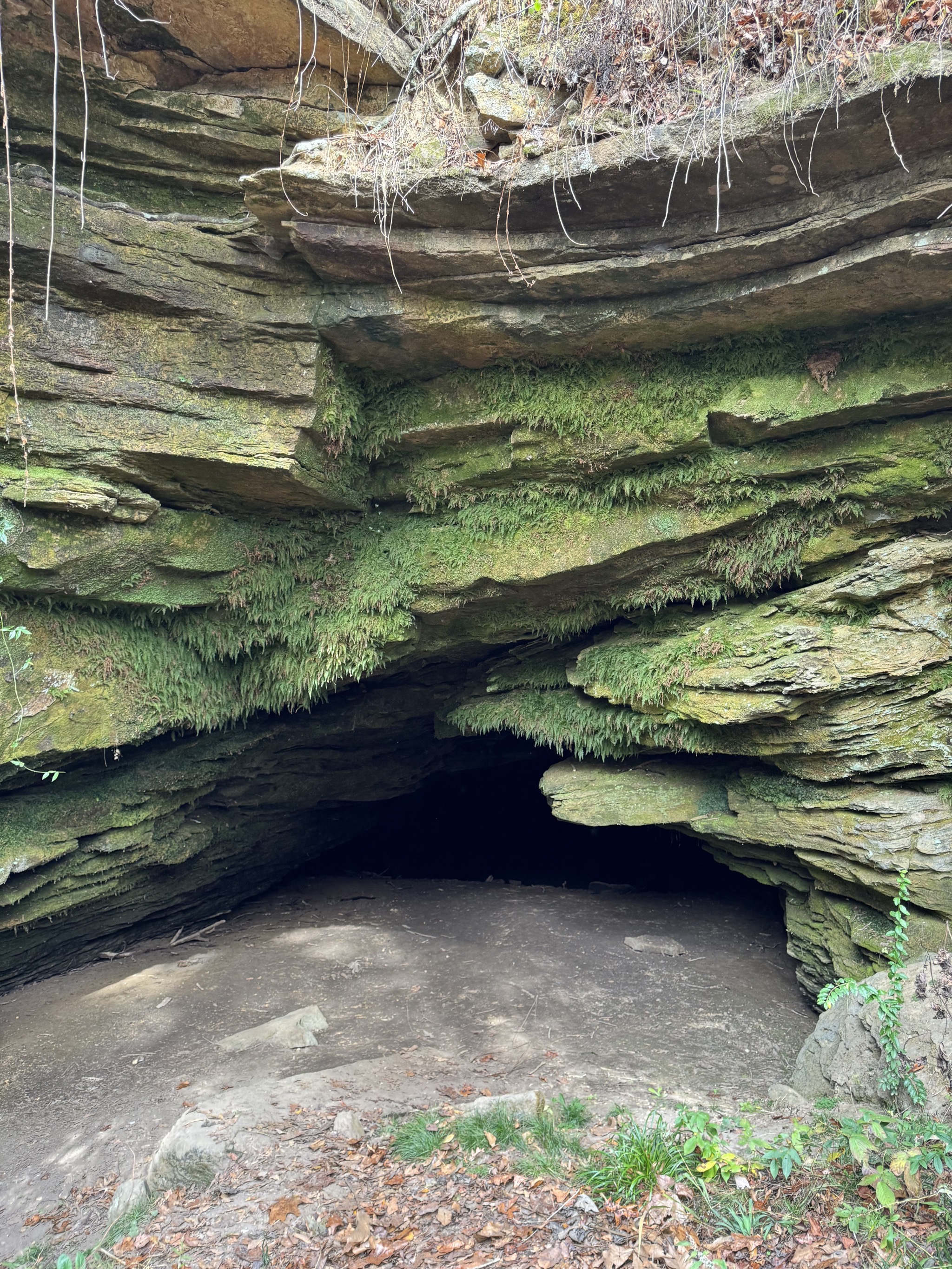 Cave Spring