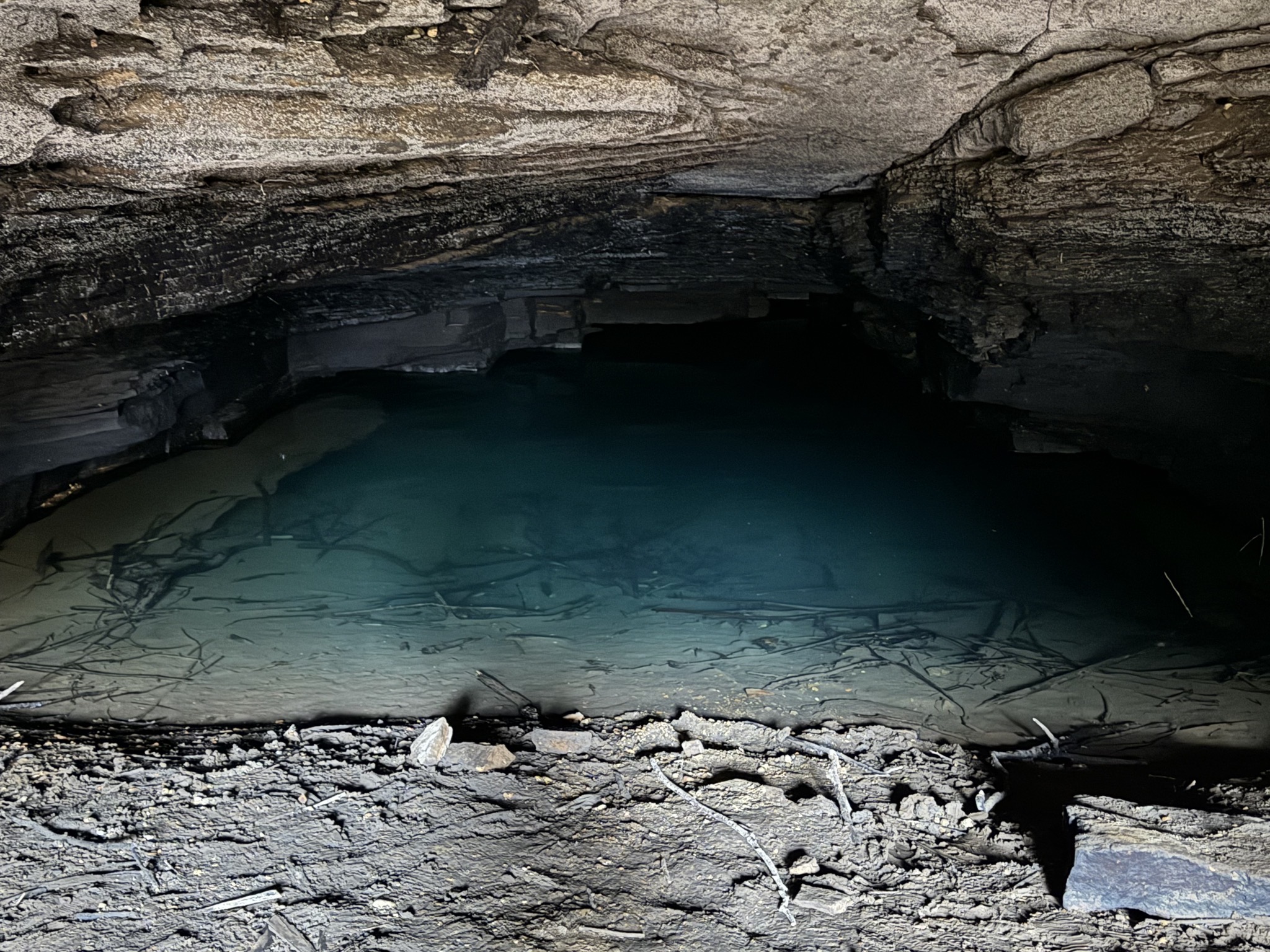 Cave Spring