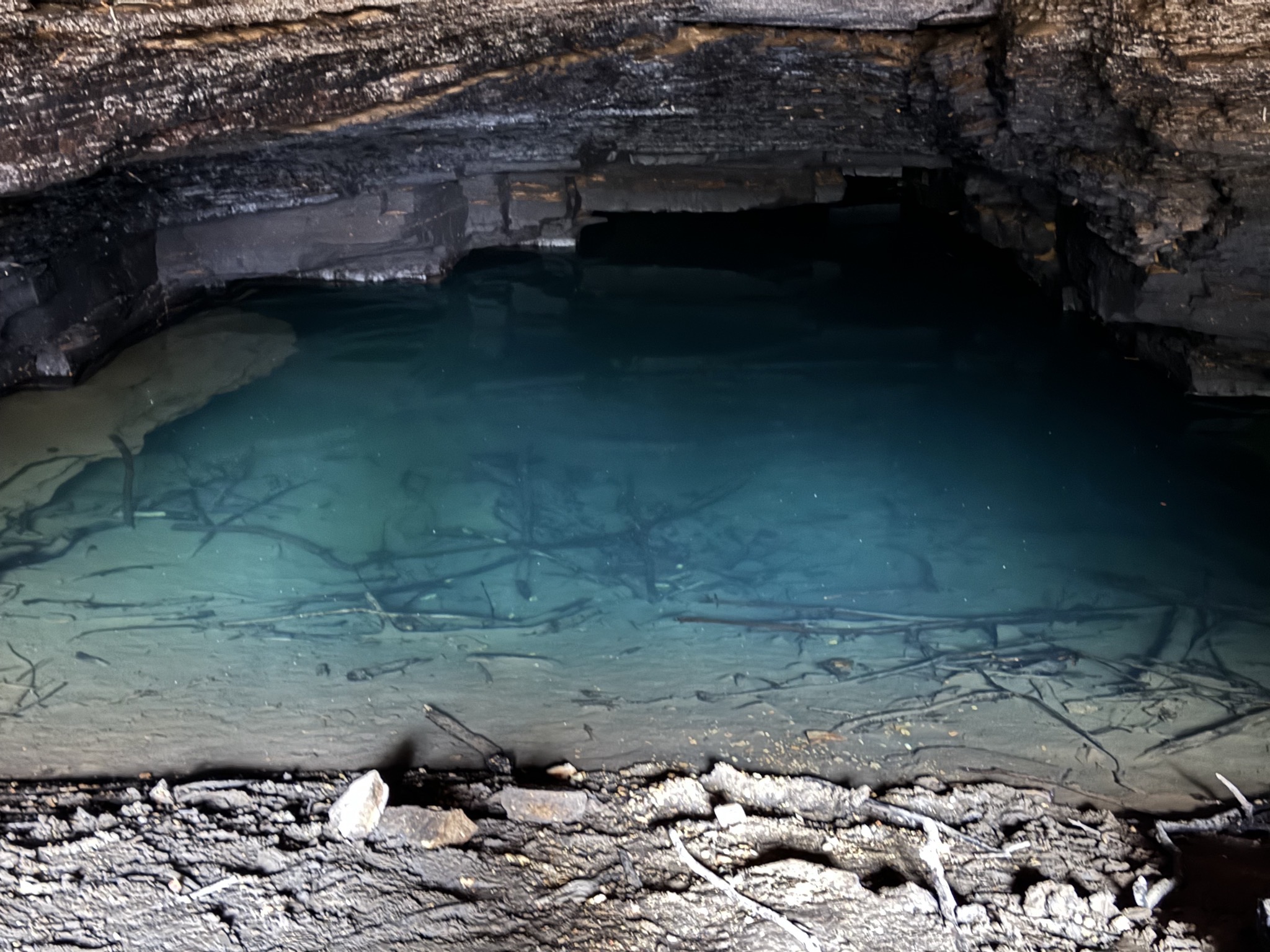 Cave Spring
