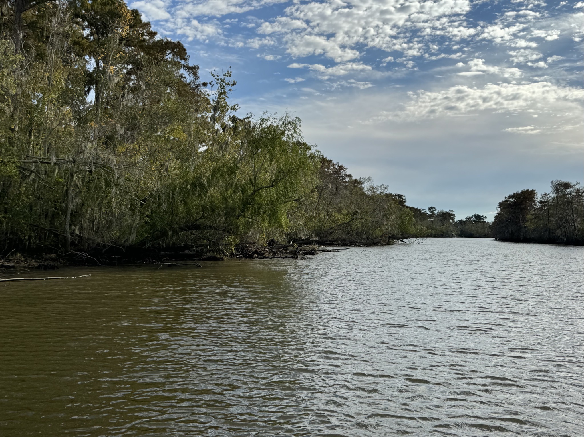 Bayou