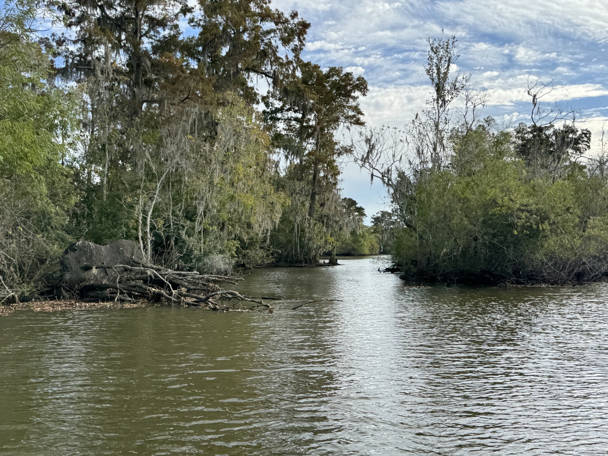 Bayou