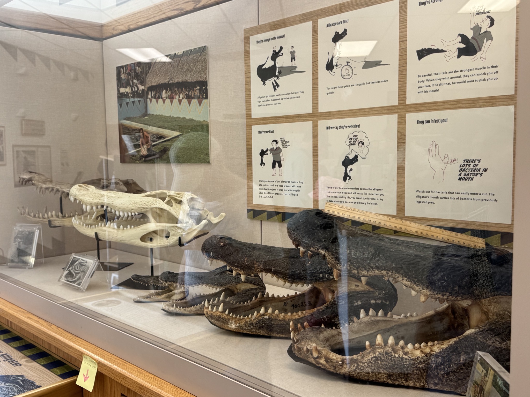 Exhibits