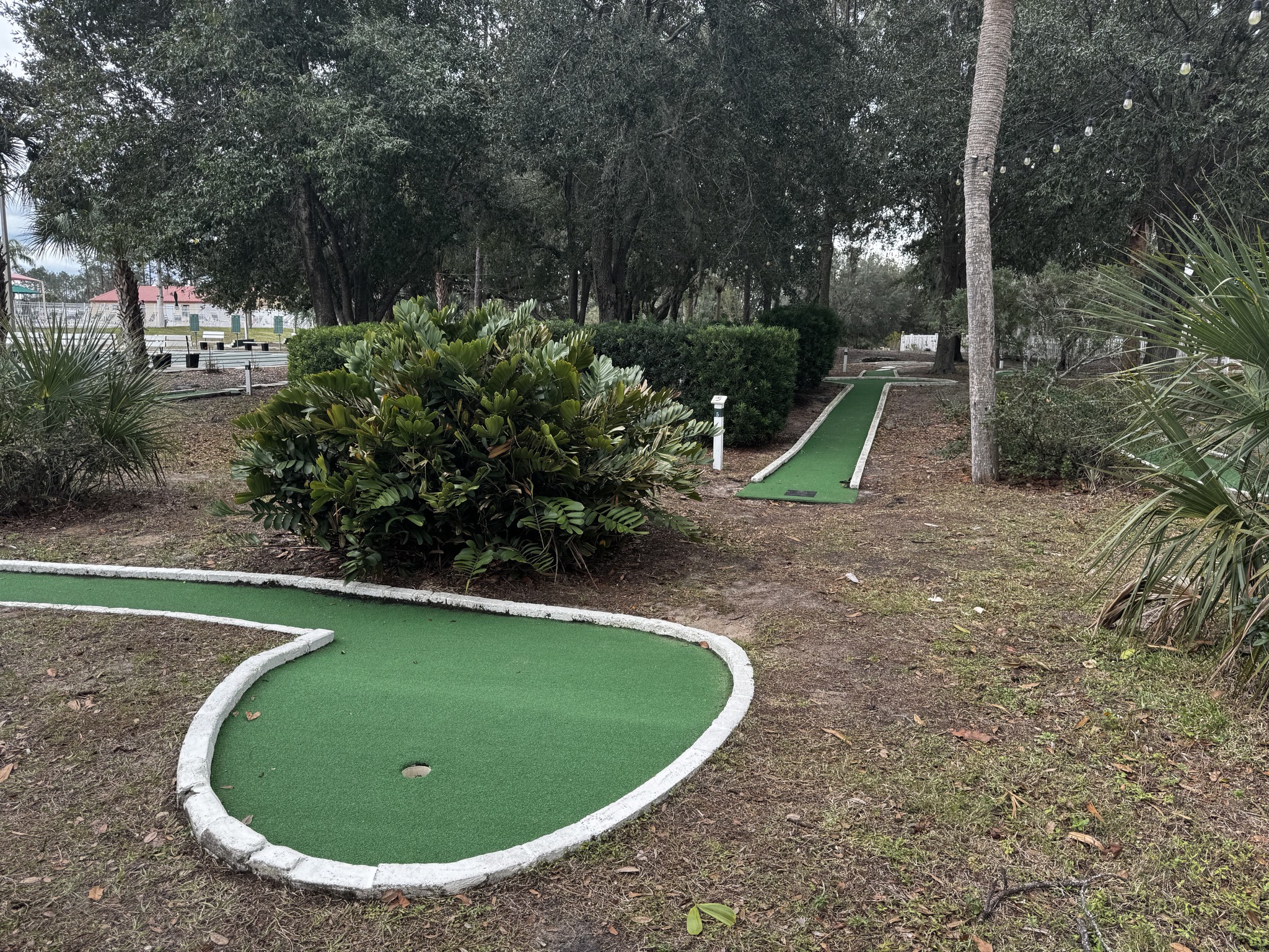 Mini golf
