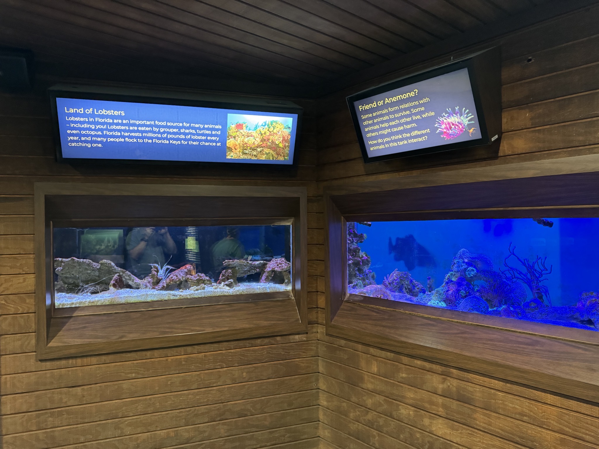 Visitor center aquarium