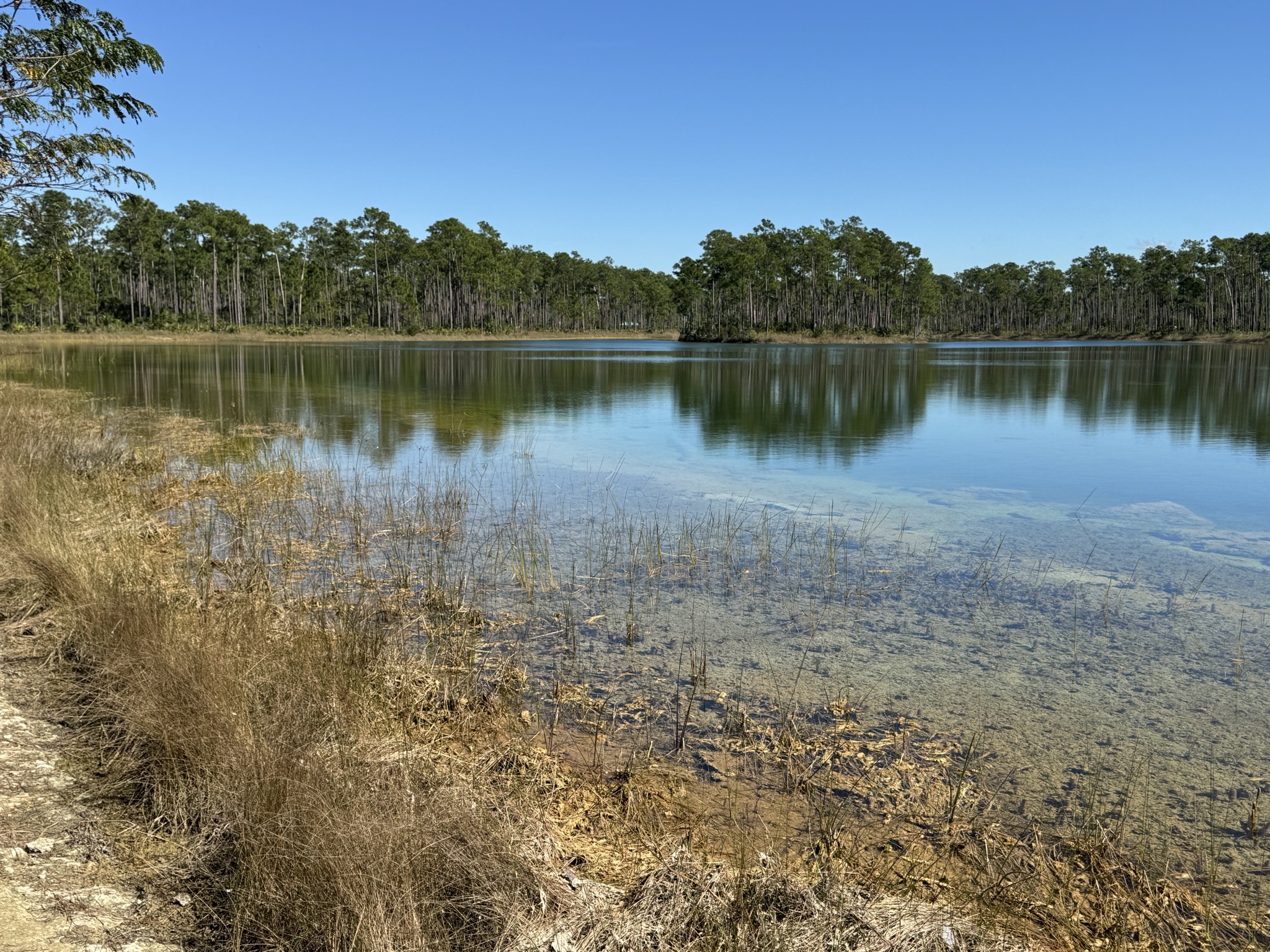 Lake