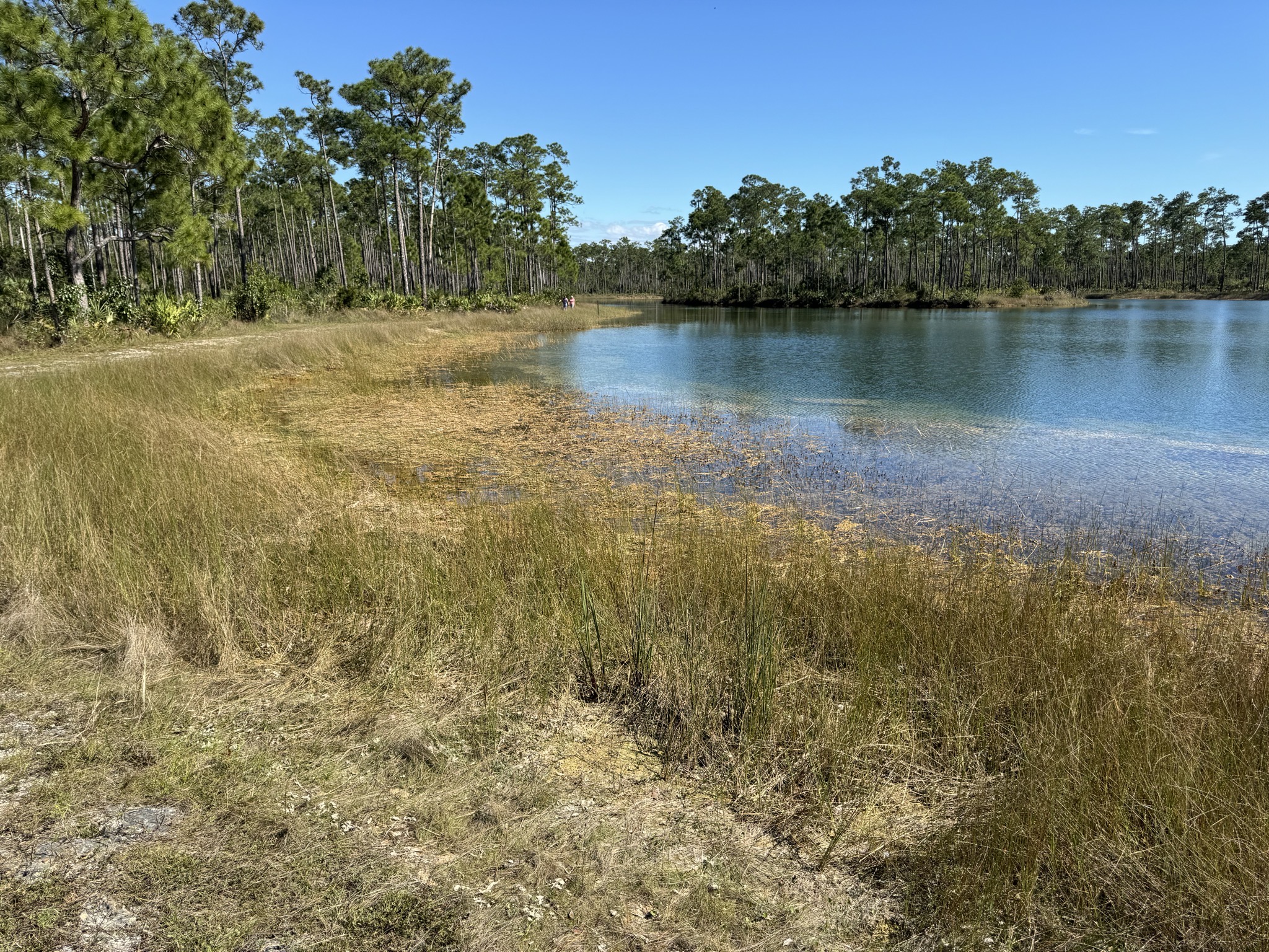Lake