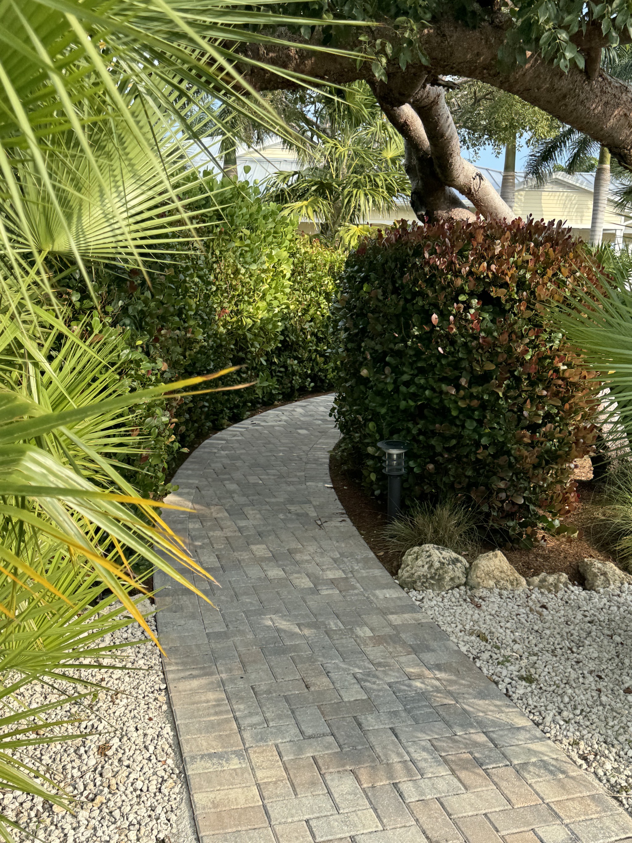 Path
