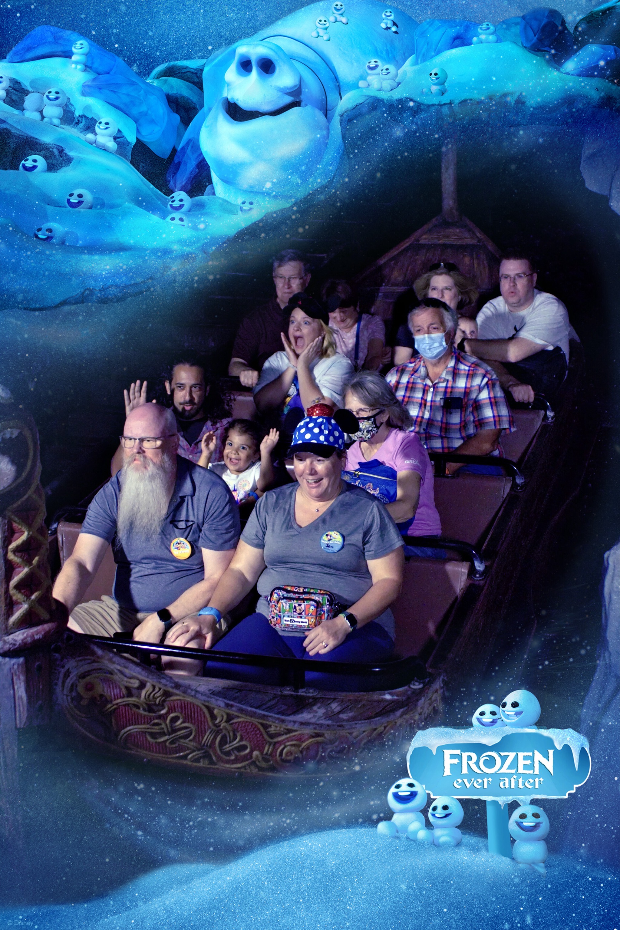 Frozen ride