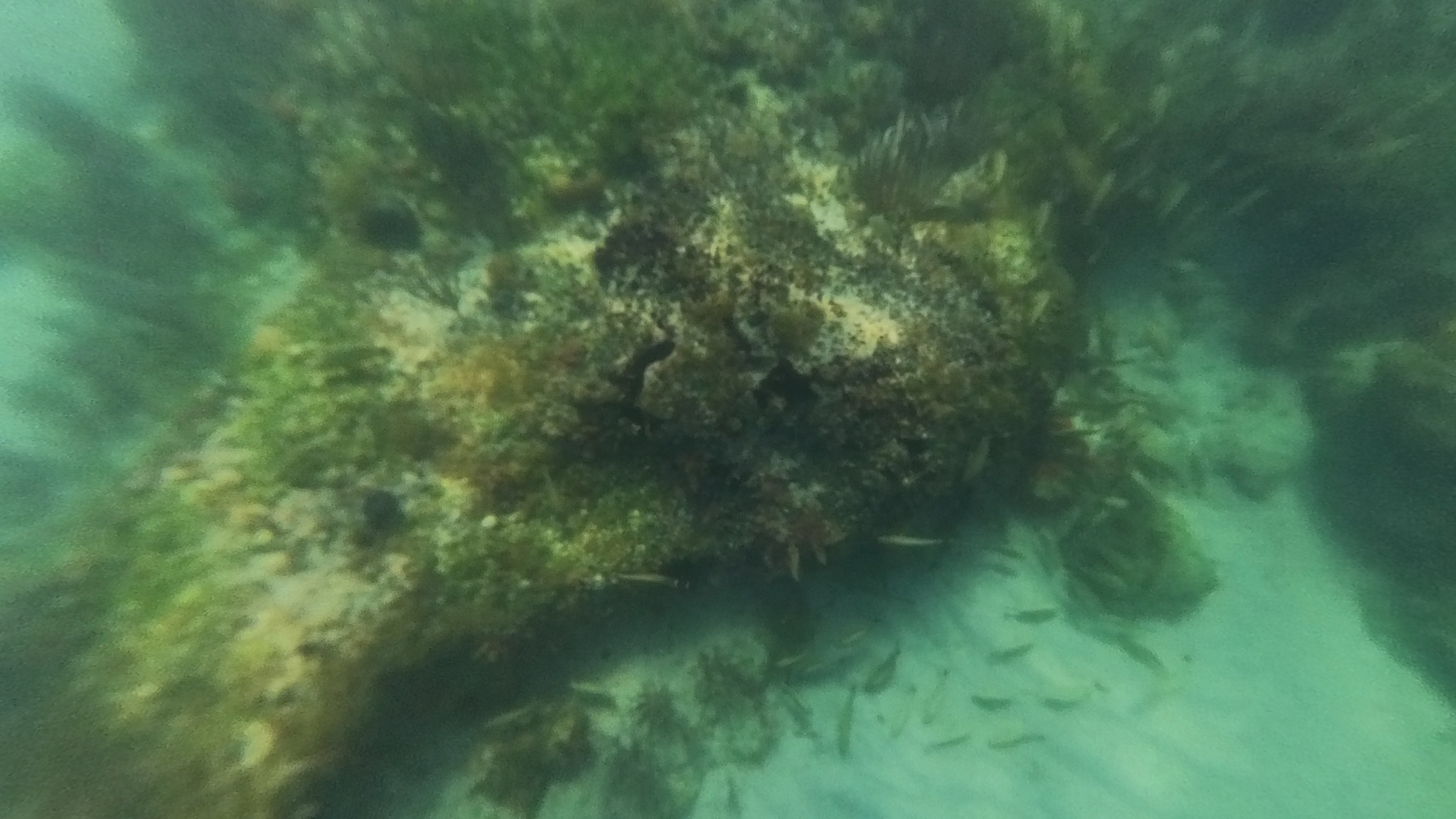 Underwater