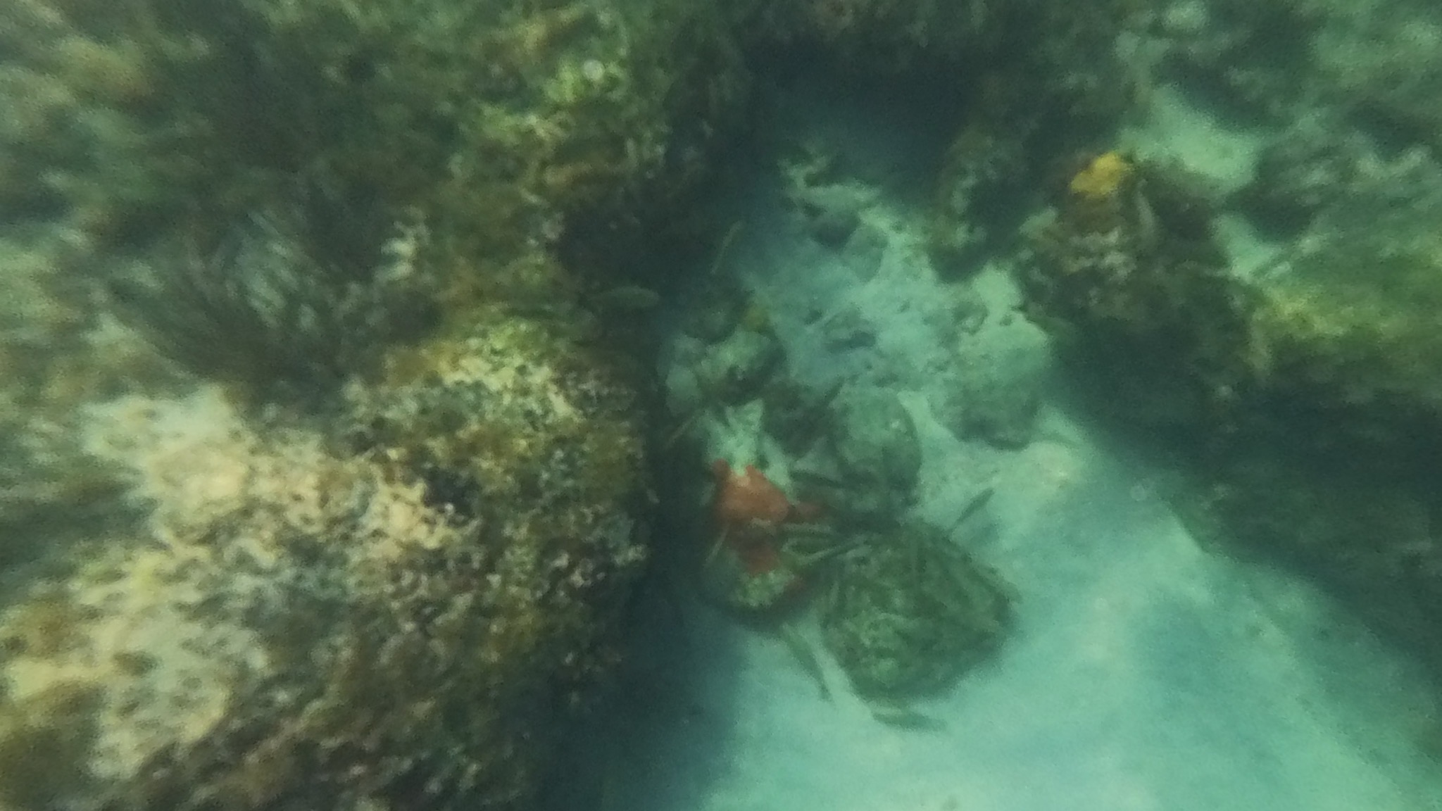 Underwater